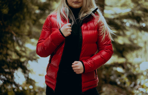 Iarna